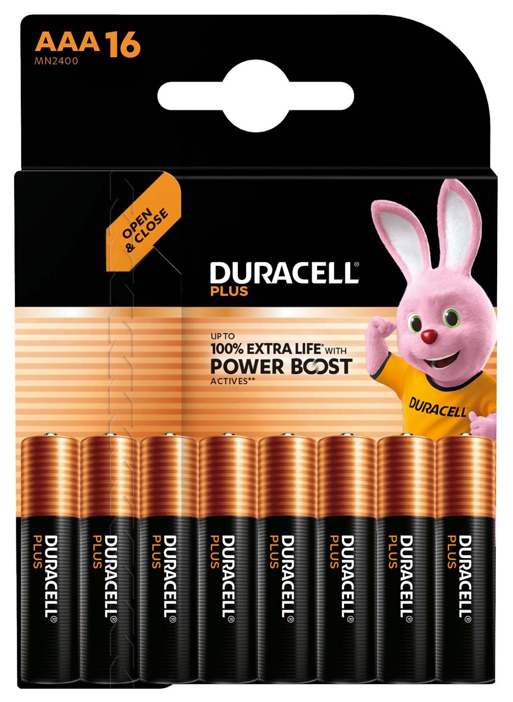 16 Piles Alcalines AAA / LR03 Duracell Plus