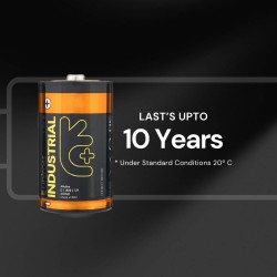 10 Piles Alcalines D / LR20 Uniross Industrial Pro