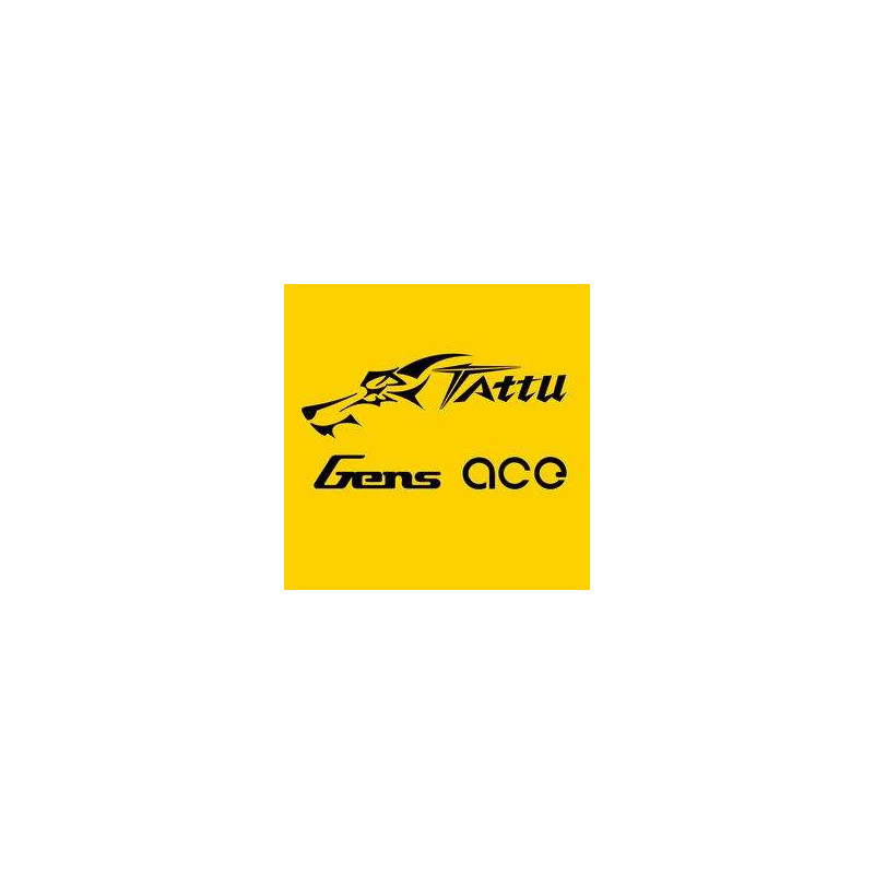 Tattu Gens Ace